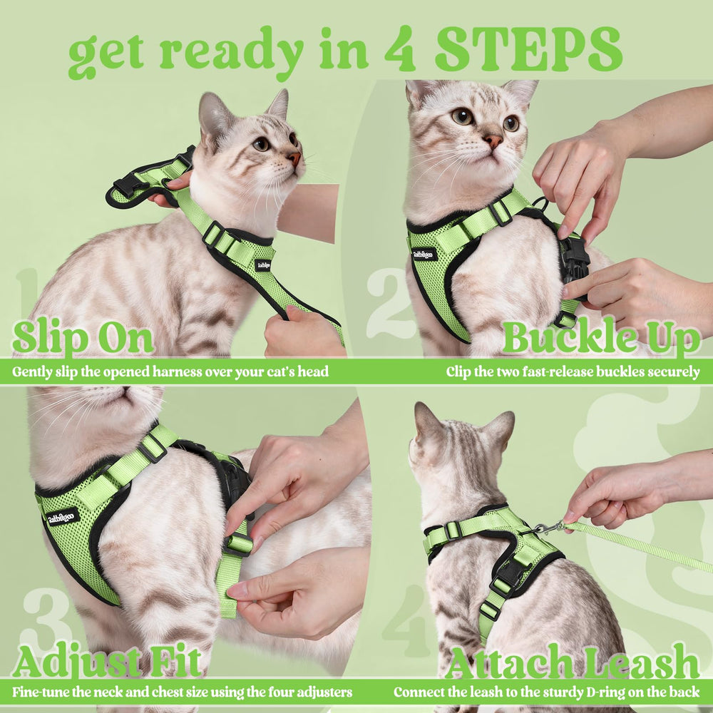Rabbitgoo light-green color styling suits cats with a stylish look.