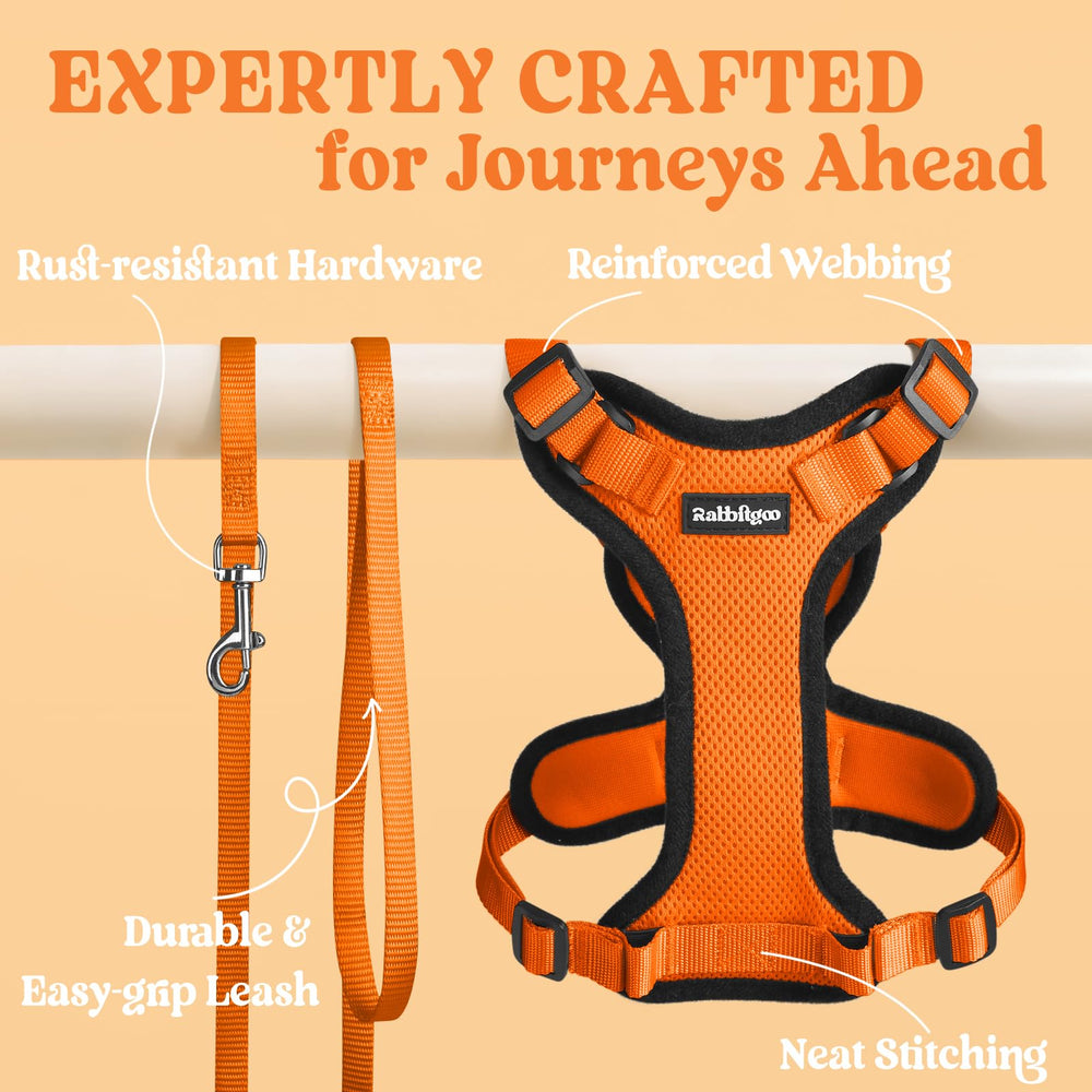 Bright orange Rabbitgoo harness adds style to outdoor walks