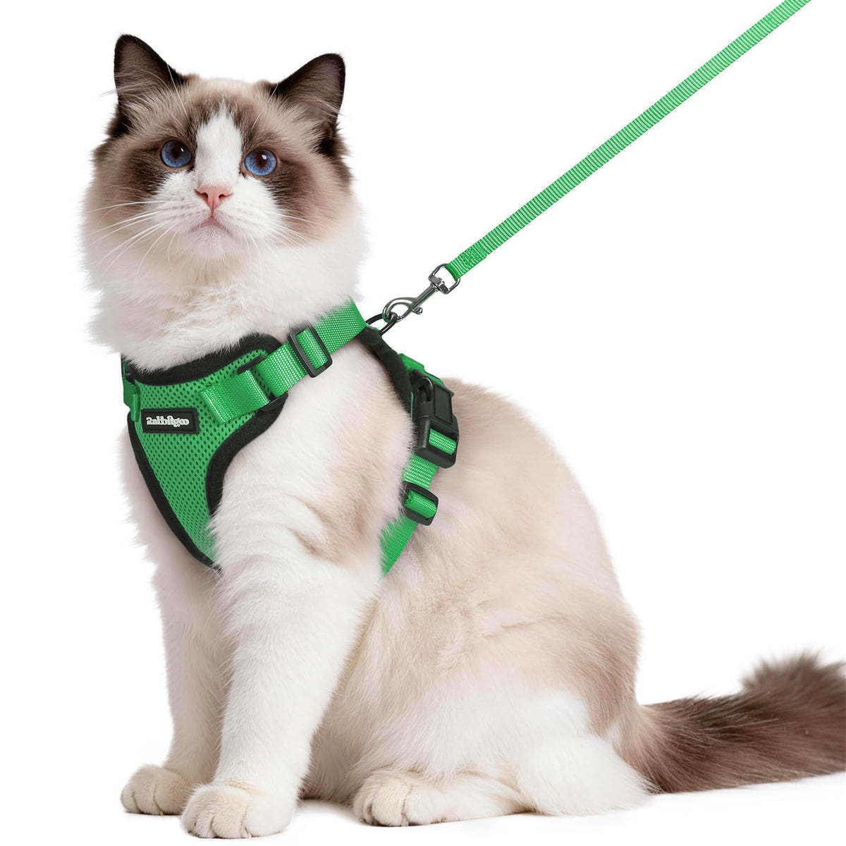 Rabbitgoo cat harness overhead setup for quick on-and-off adventures