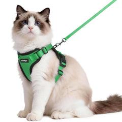 Rabbitgoo cat harness overhead setup for quick on-and-off adventures