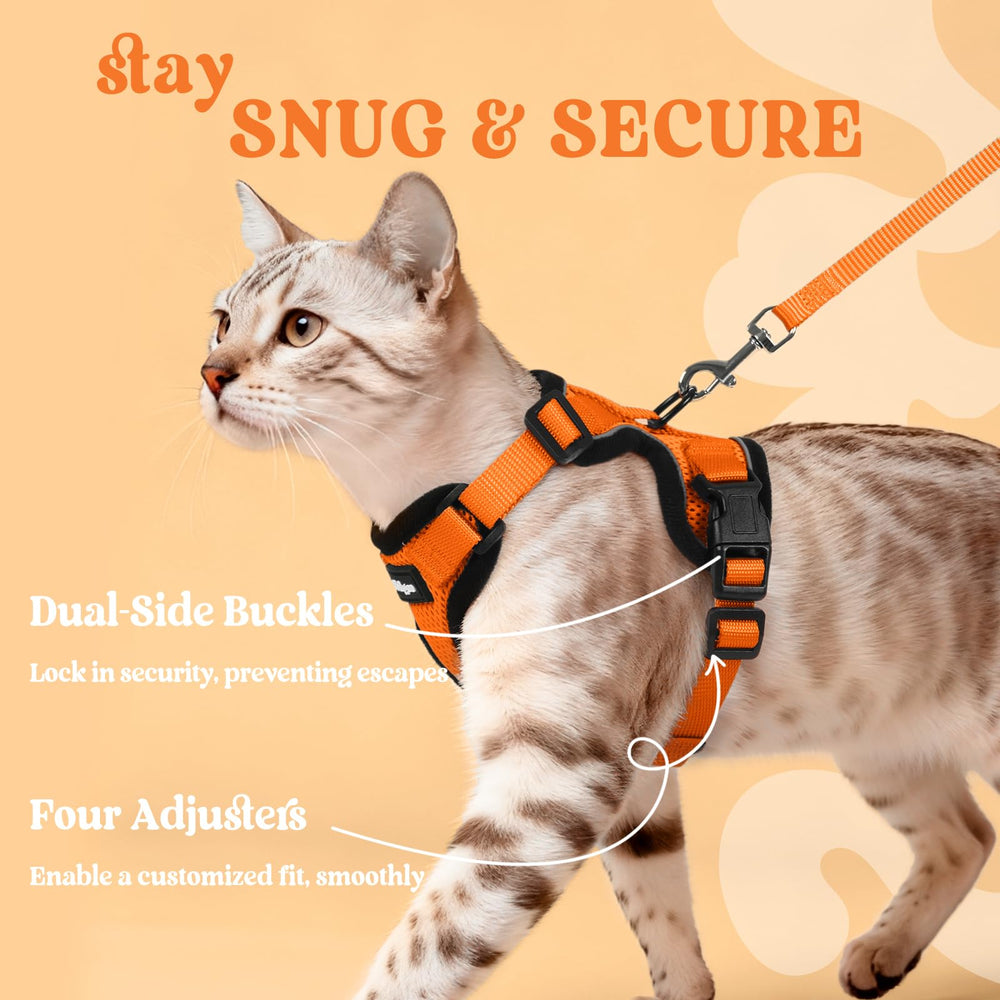 Overhead slip-on design of Rabbitgoo harness for quick wear