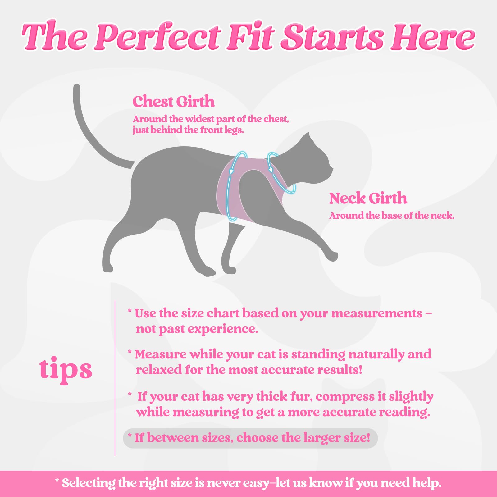Rabbitgoo cat harness back view showing secure fit and adjustability.