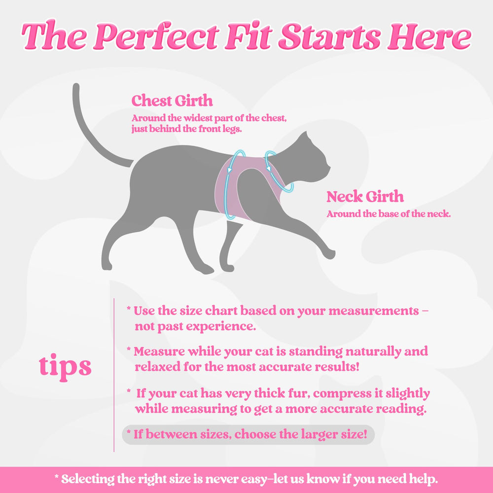 Rabbitgoo cat harness back view showing secure fit and adjustability.