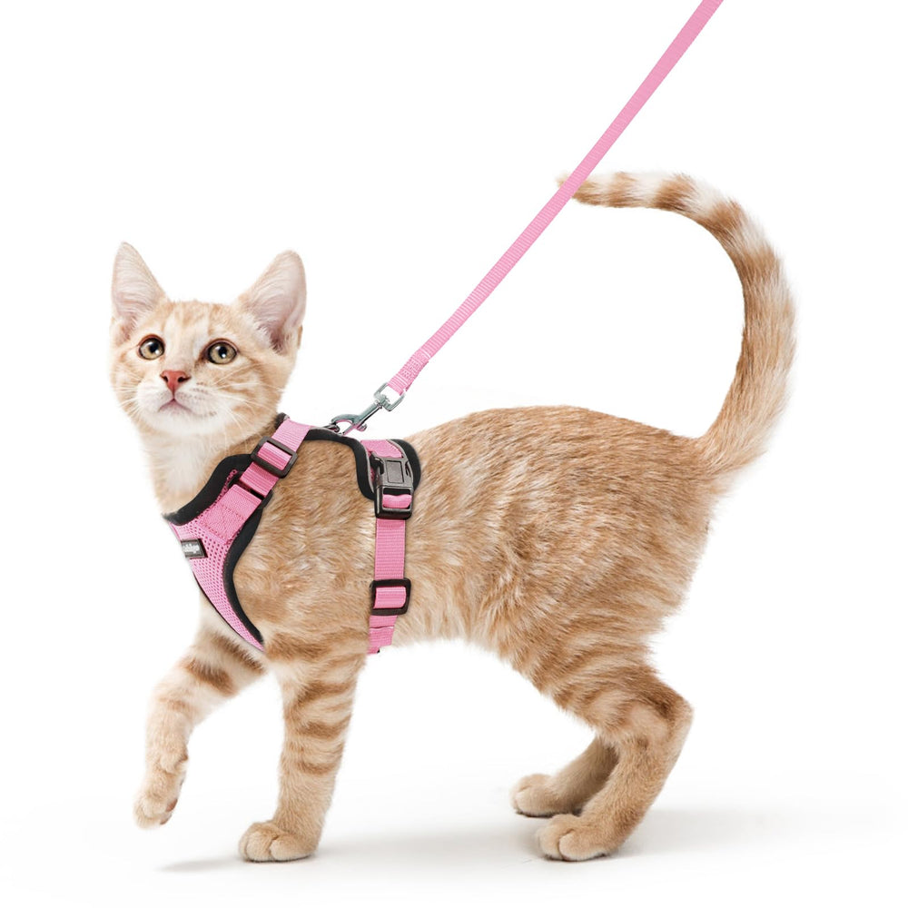 Rabbitgoo cat harness pink vest for secure outdoor walks.