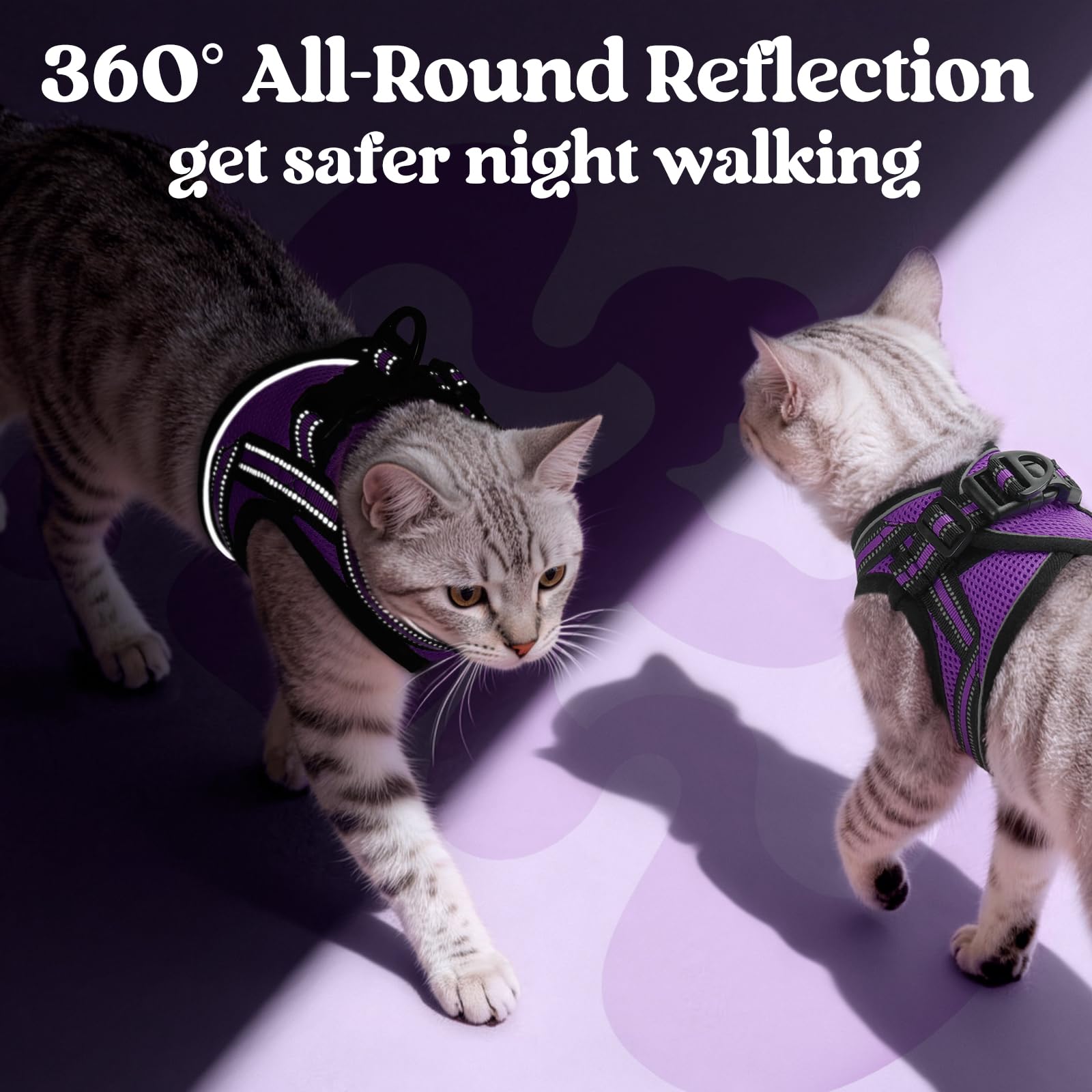 Rabbitgoo quick-release buckle for easy, safe wearing.