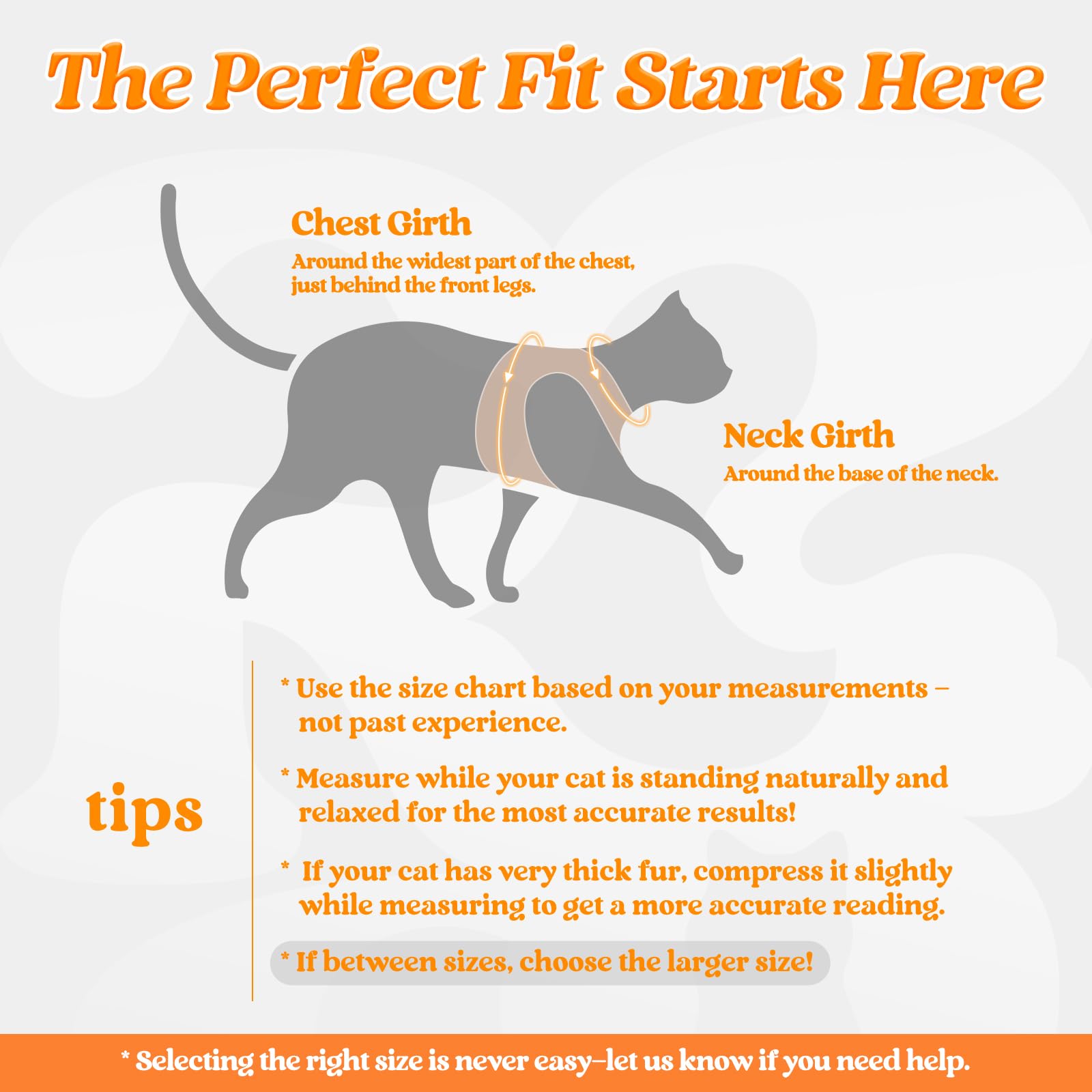 Rabbitgoo cat-harness-reflective-strip night-visibility for safer evening strolls.