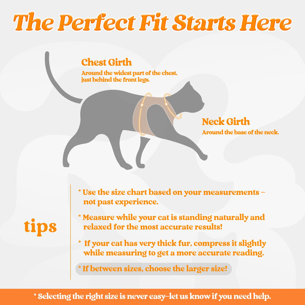 Rabbitgoo cat-harness-reflective-strip night-visibility for safer evening strolls.