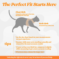 Rabbitgoo cat-harness-reflective-strip night-visibility for safer evening strolls.