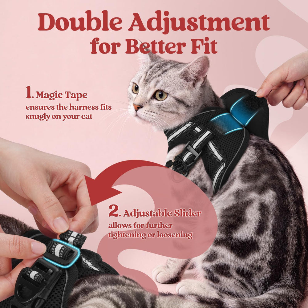 Rabbitgoo cat harness with reflective strip enhancing visibility during evening outings.