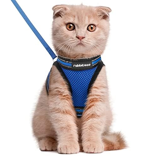 Rabbitgoo harness reflective strip increases visibility in low light