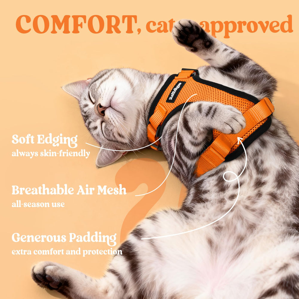 Reflective strips on Rabbitgoo harness boost visibility