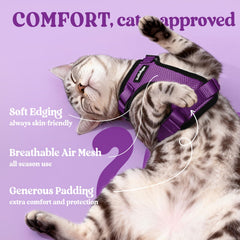 Rabbitgoo harness with reflective strips boosts visibility in low light.