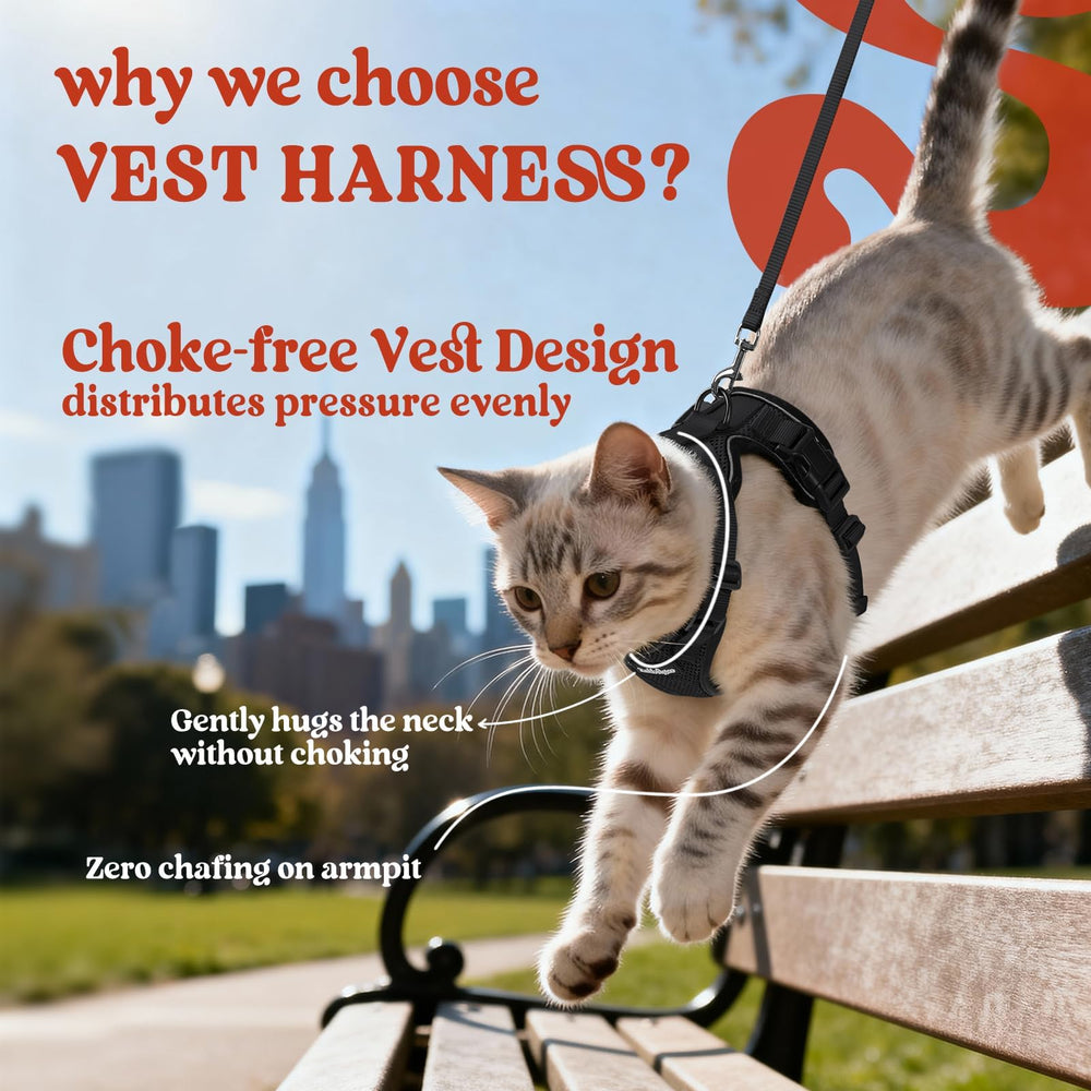 Rabbitgoo cat harness reflective strips improve visibility day and night.