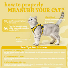 Rabbitgoo cat harness with reflective strips for safer strolls at night.