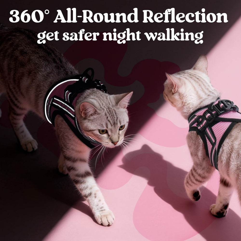 Rabbitgoo cat harness reflective strips improve visibility at dusk.