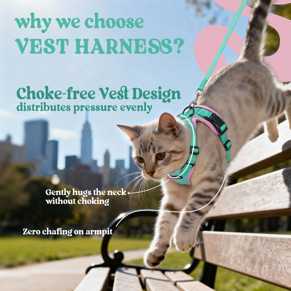 Rabbitgoo cat harness with reflective strips for safer evening strolls.