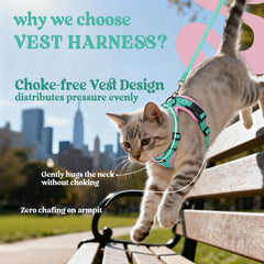 Rabbitgoo cat harness with reflective strips for safer evening strolls.