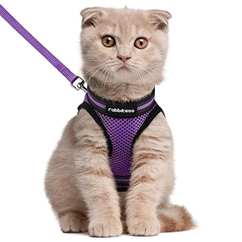 Rabbitgoo harness reflective strips boost visibility during dusk strolls.