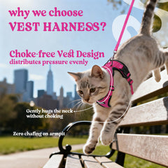 Adjustable four-strap design on Rabbitgoo harness ensures a custom fit.
