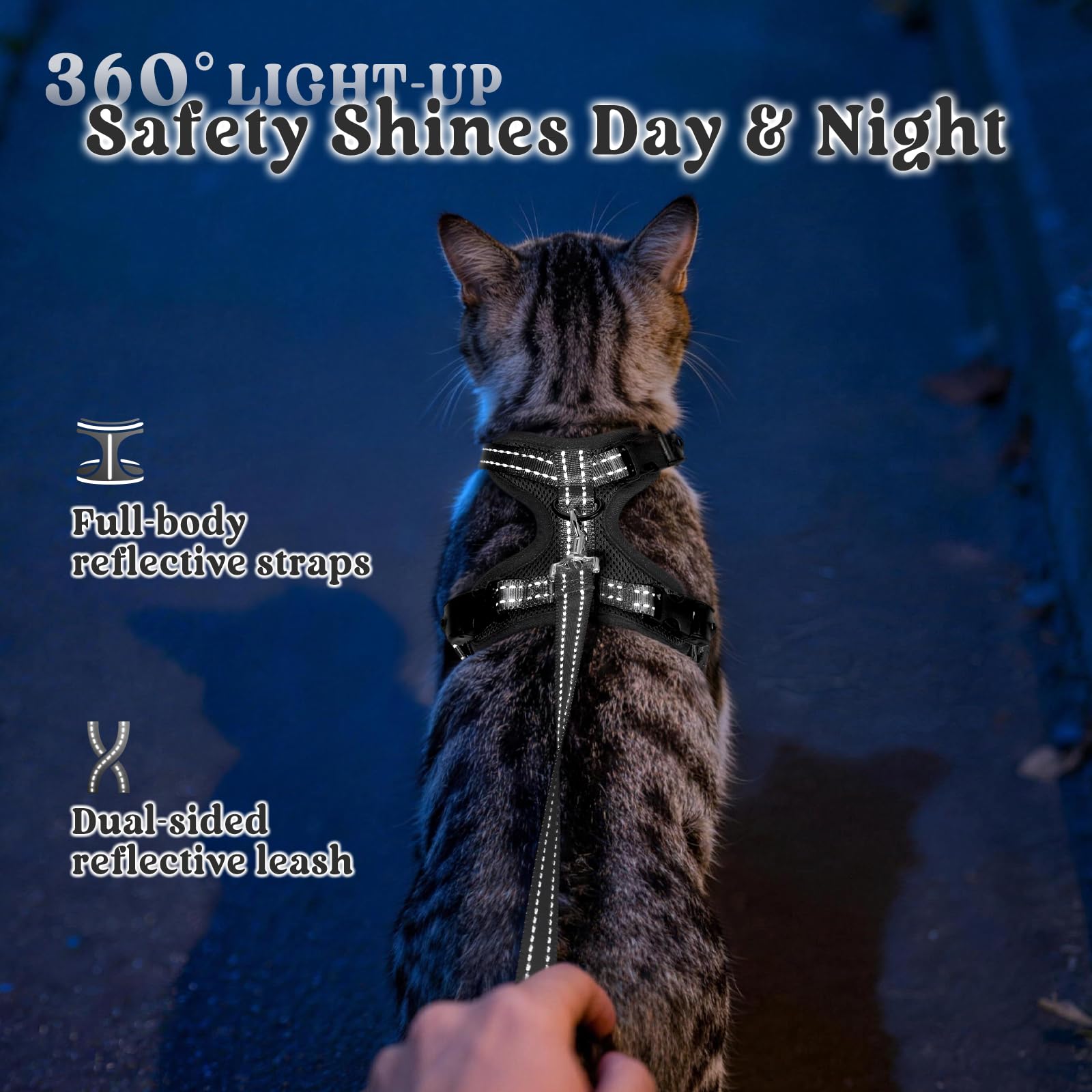 Rabbitgoo cat harness reflective strips for better visibility at dusk