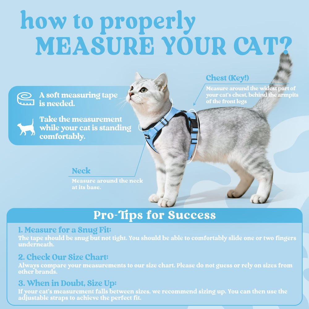 Rabbitgoo cat harness reflective strips increase visibility for safer dusk strolls.