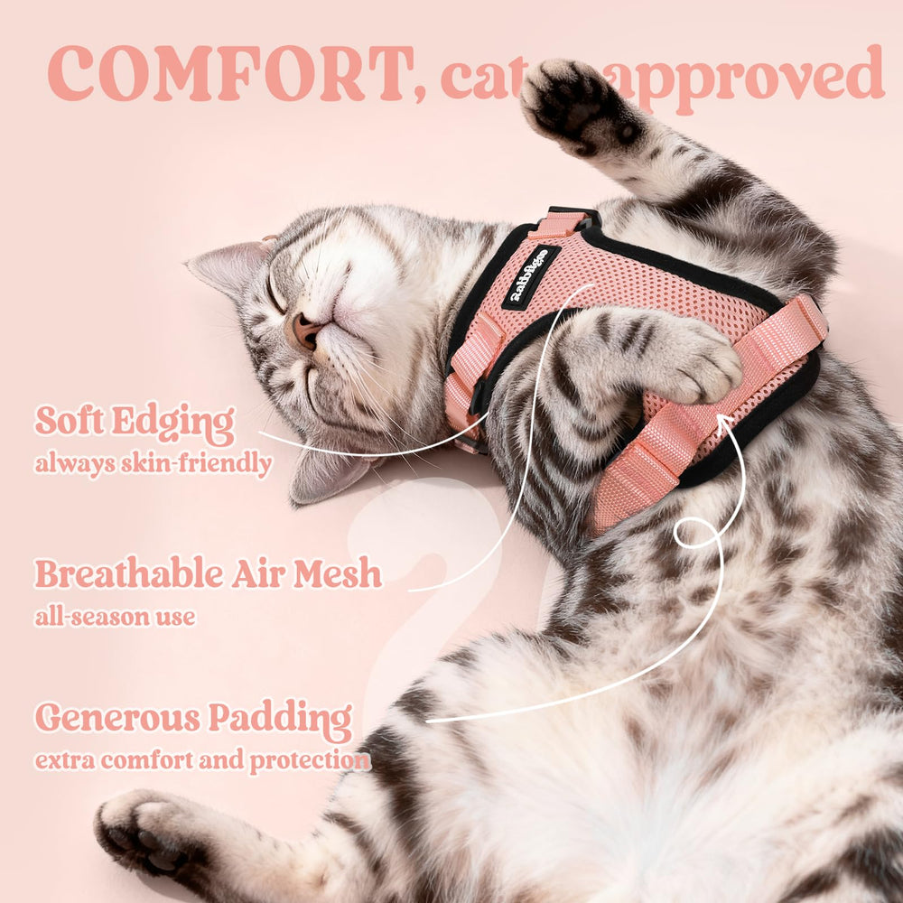 Rabbitgoo harness reflective strips boost visibility for safer evening cat walks.