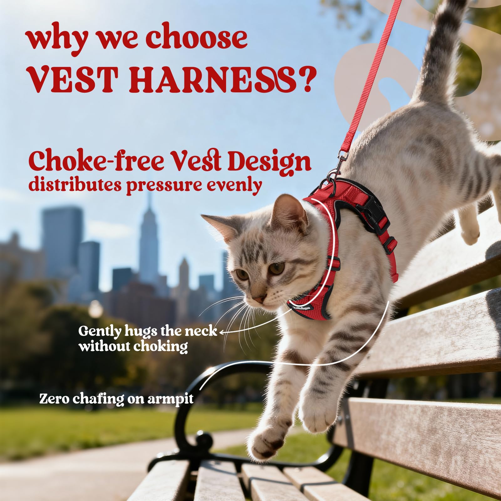 Rabbitgoo harness reflective strips boost visibility for safe dusk strolls.