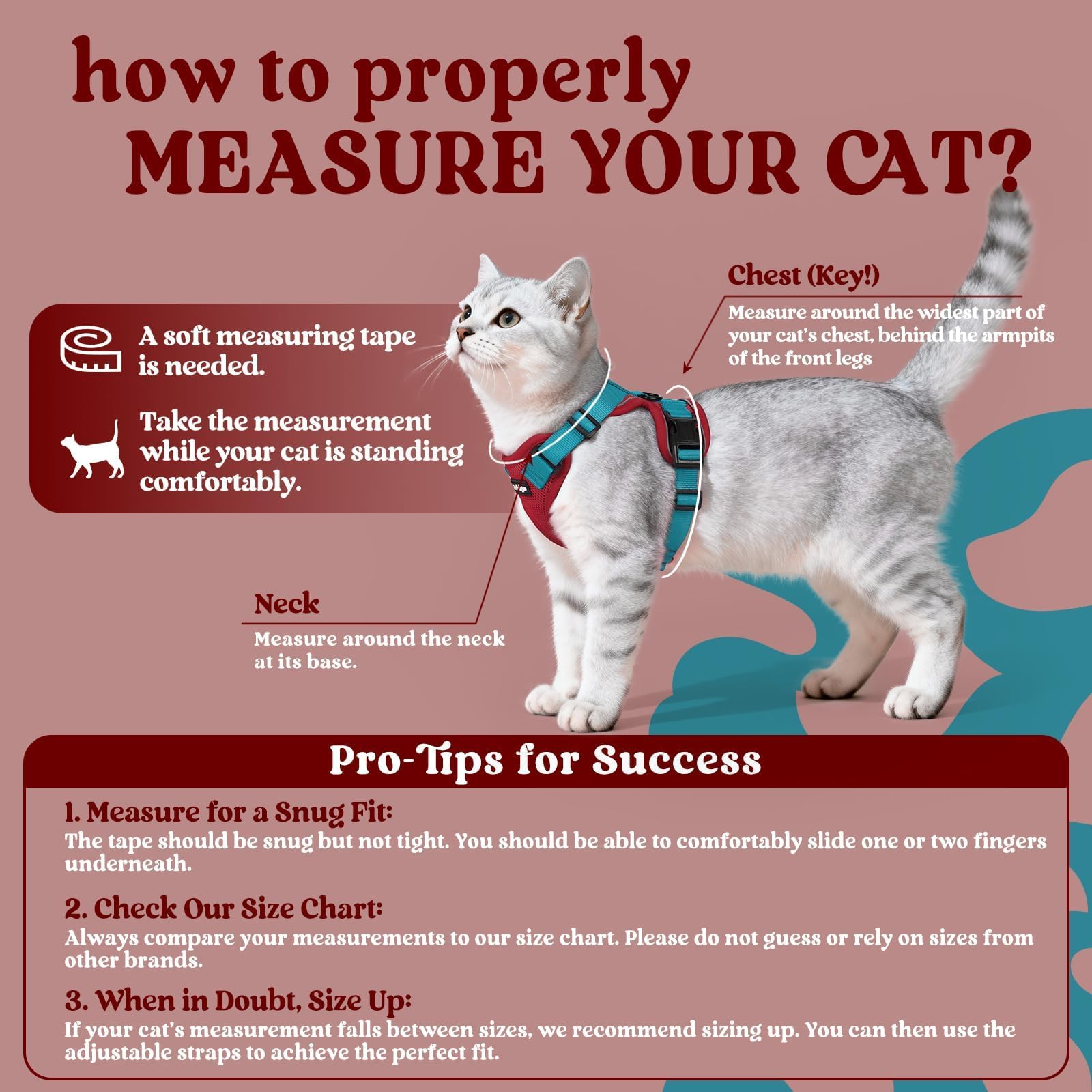 Rabbitgoo cat harness shows reflective strips for low-light visibility.