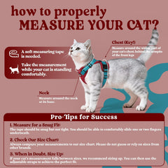 Rabbitgoo cat harness shows reflective strips for low-light visibility.