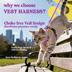 Reflective strips on Rabbitgoo harness boost visibility at night.