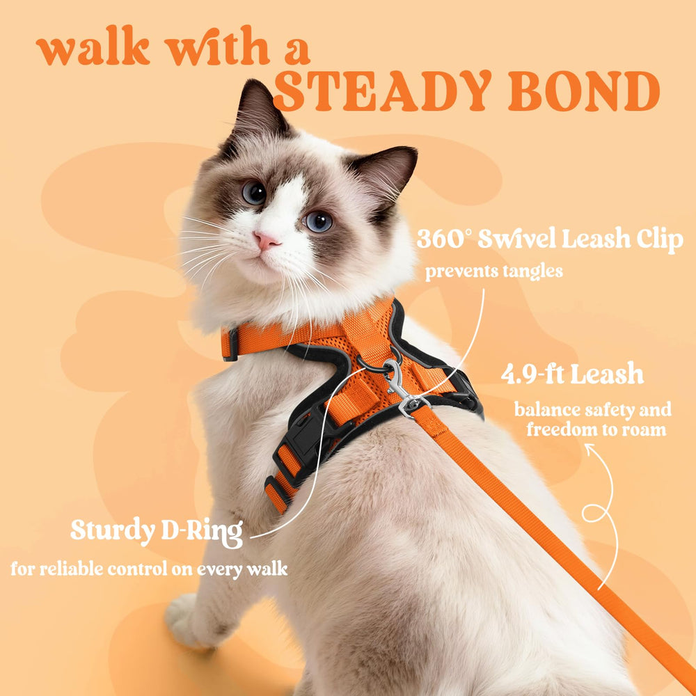 Rabbitgoo reflective strips boost visibility during low light walks.