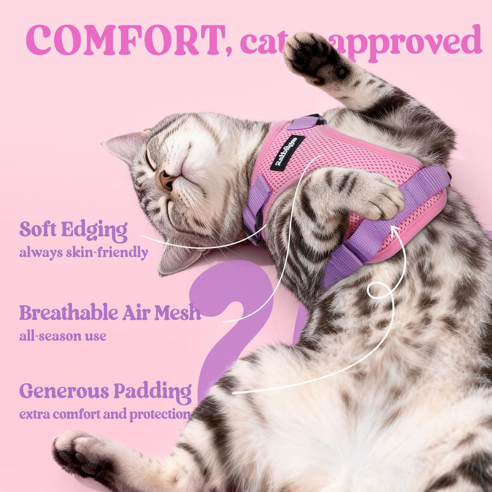 Rabbitgoo reinforced back D-ring provides reliable control during leashed adventures