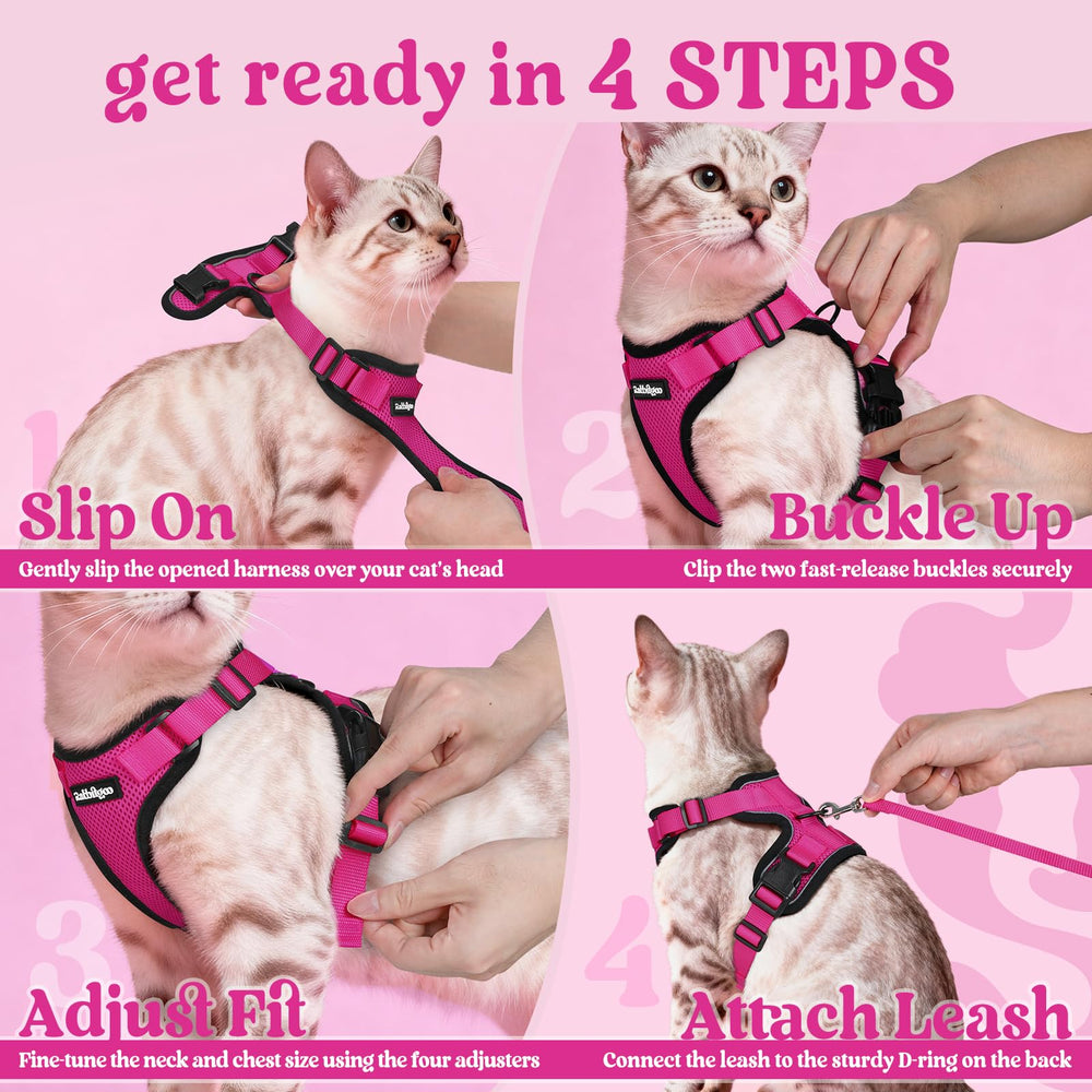 Rabbitgoo rose-red harness adds vibrant style to walks.