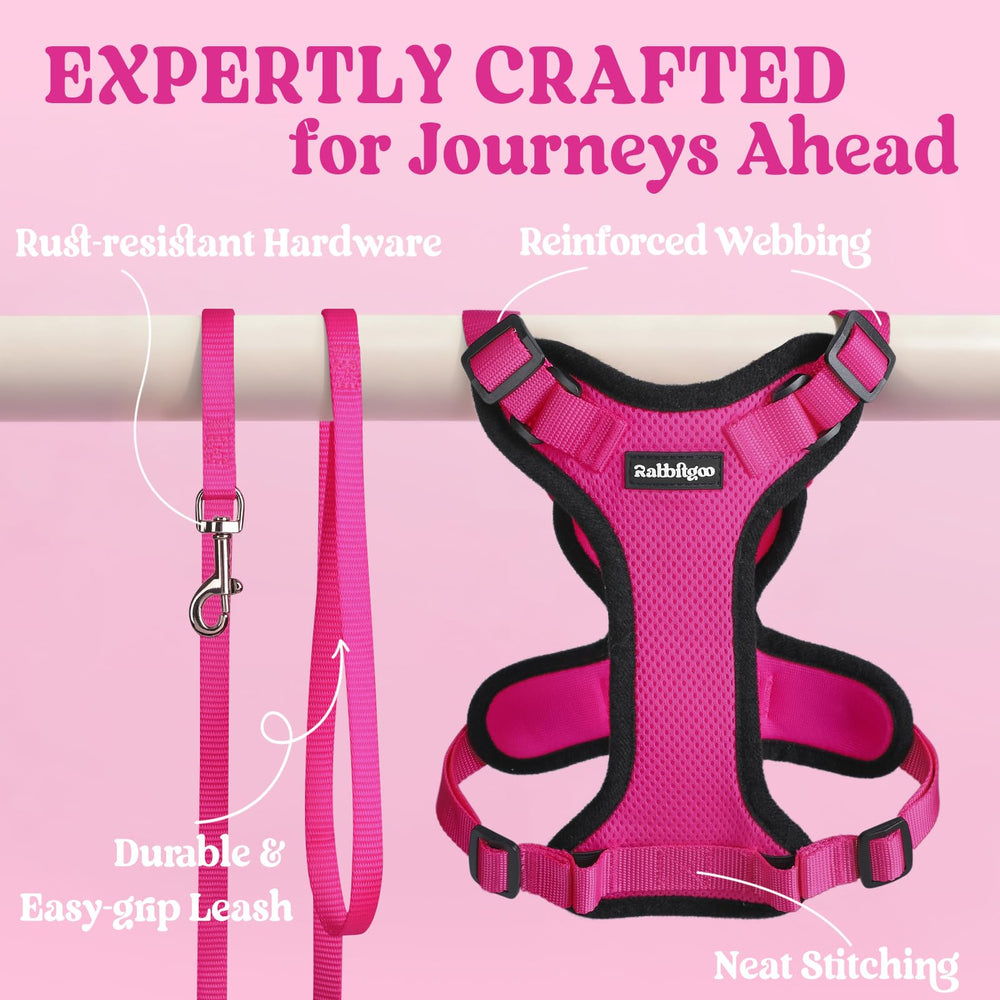 Rose red Rabbitgoo harness on cat during a sunny outdoor stroll.