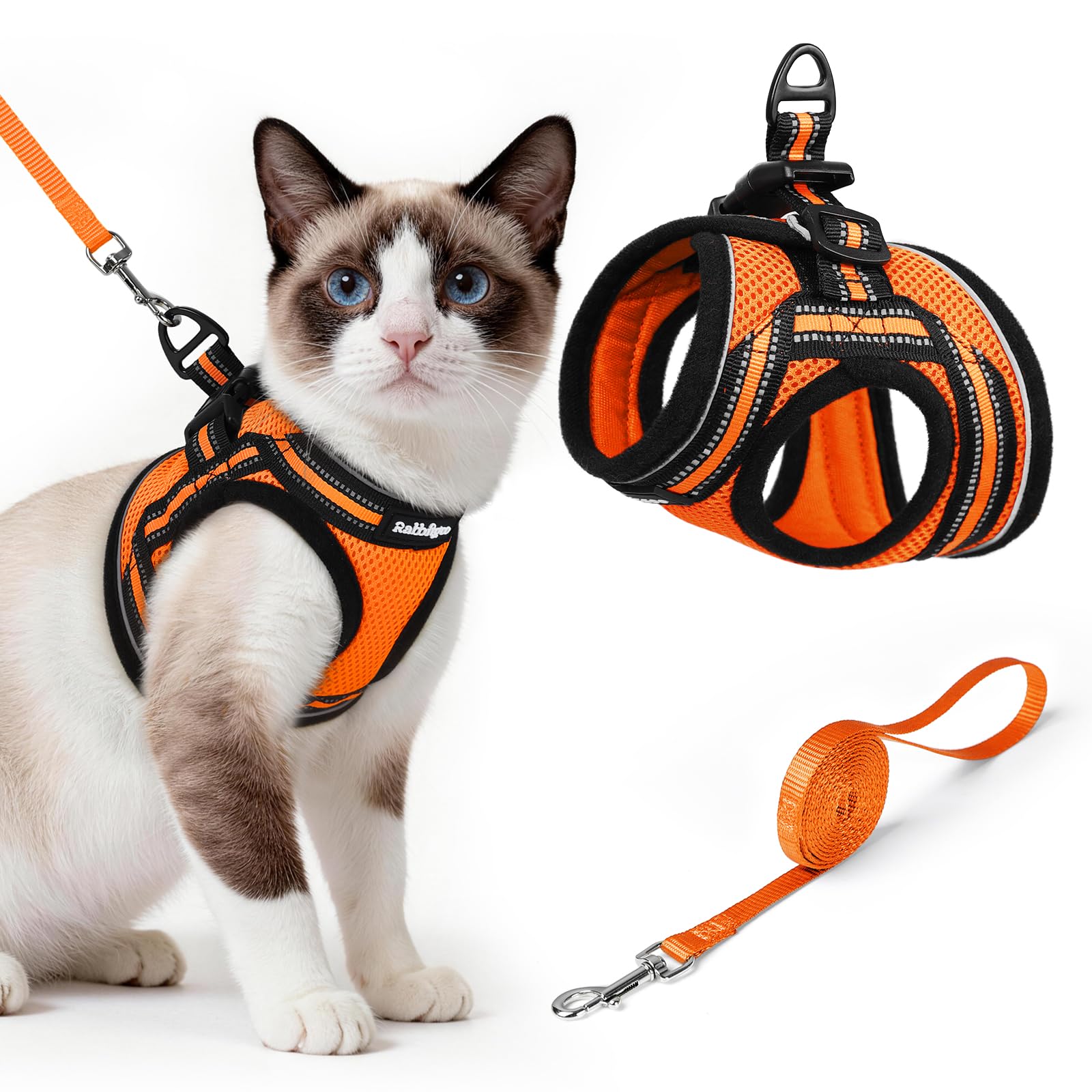 Rabbitgoo cat-harness-set outdoor-walk demonstrates comfortable fit and secure control.