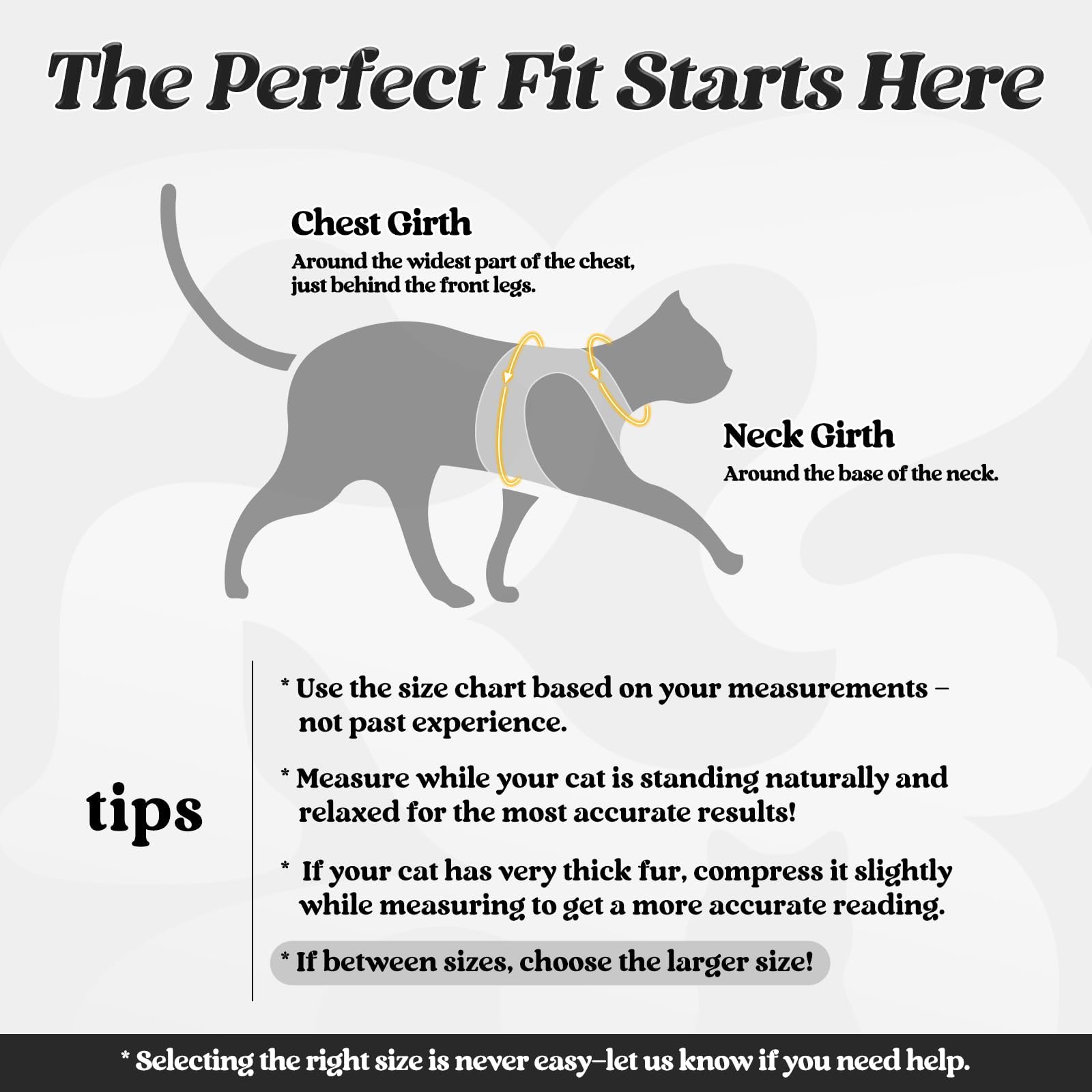 Rabbitgoo cat harness soft air-mesh padding for comfortable daily strolls.