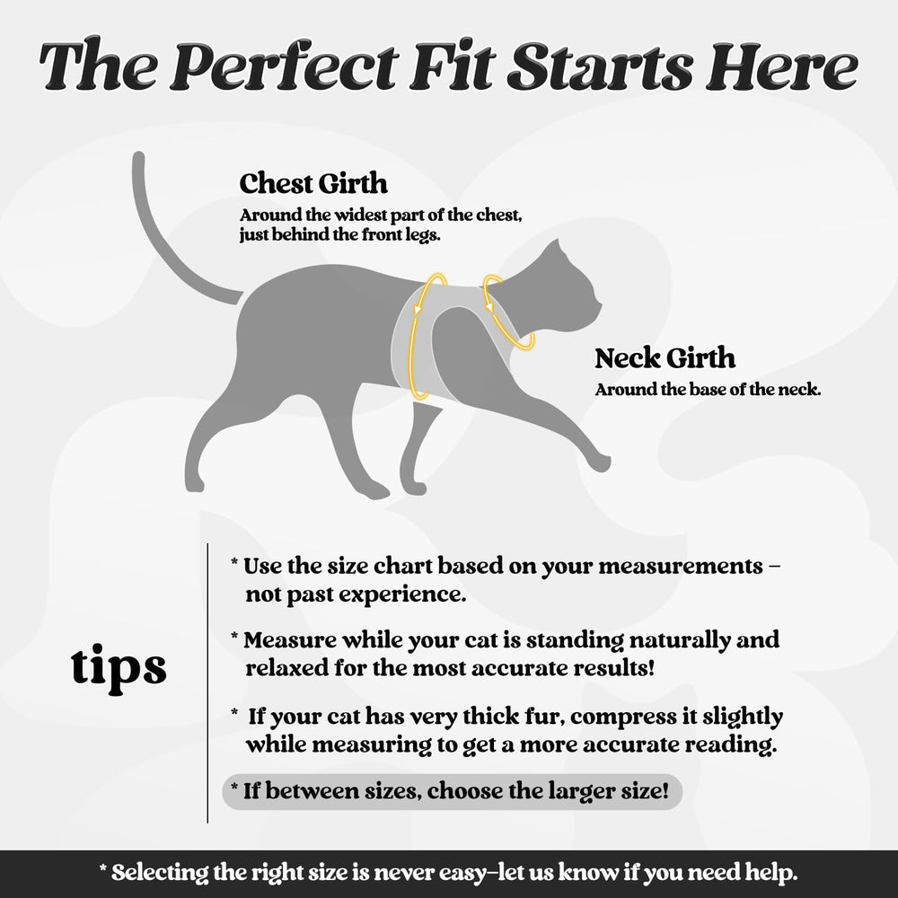 Rabbitgoo cat harness soft air-mesh padding for comfortable daily strolls.