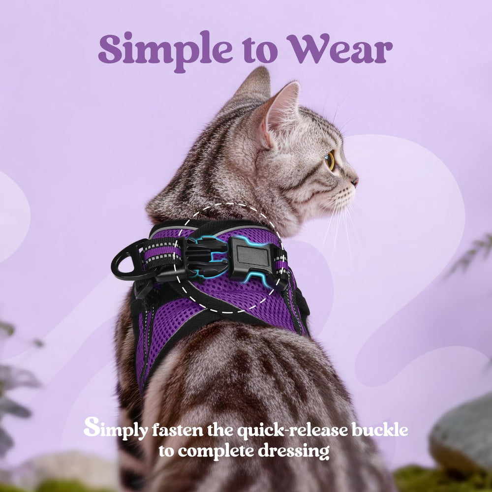 Rabbitgoo harness back-clip and hook-and-loop fastener for secure fit.