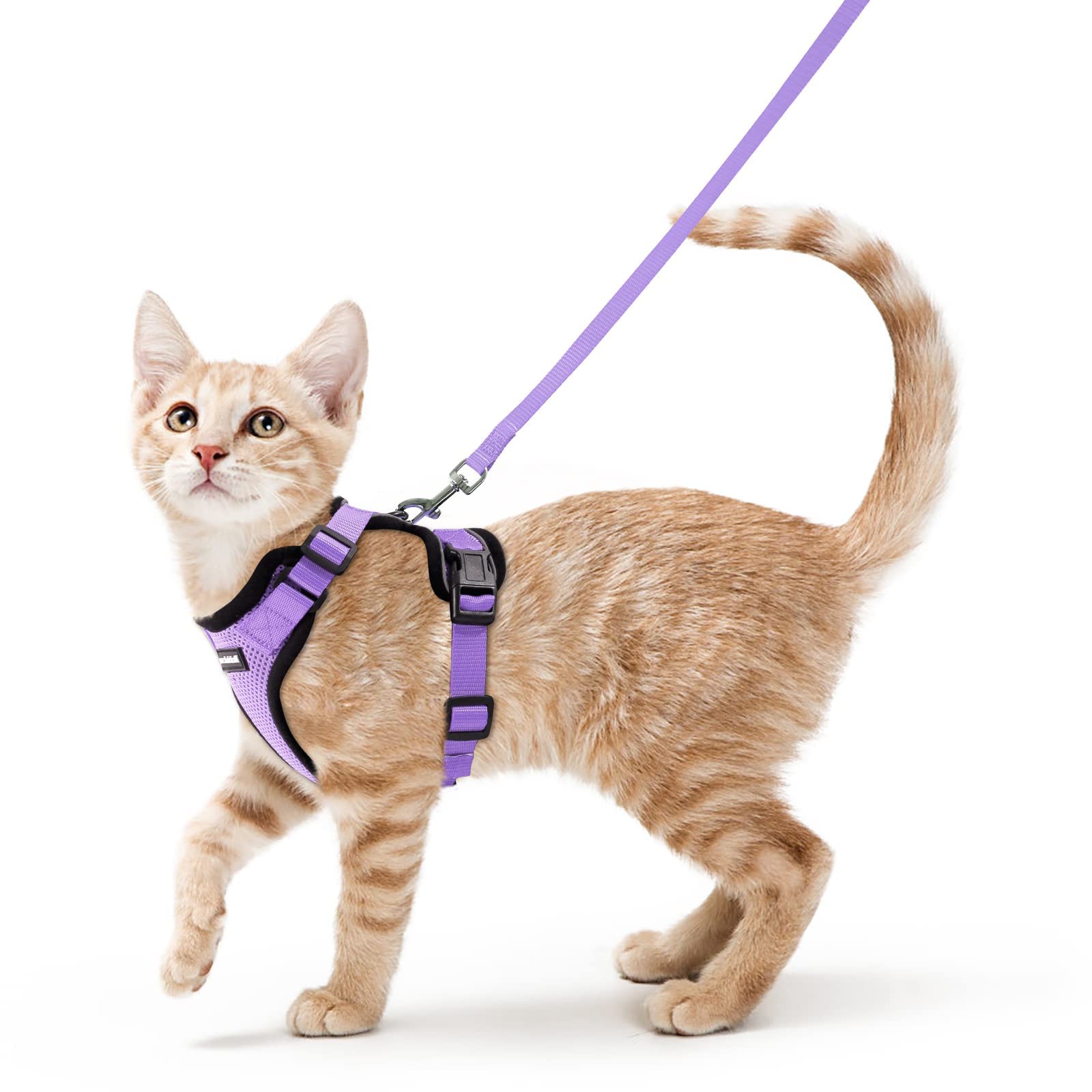 Rabbitgoo cat harness with soft air-mesh for breathable comfort during walks