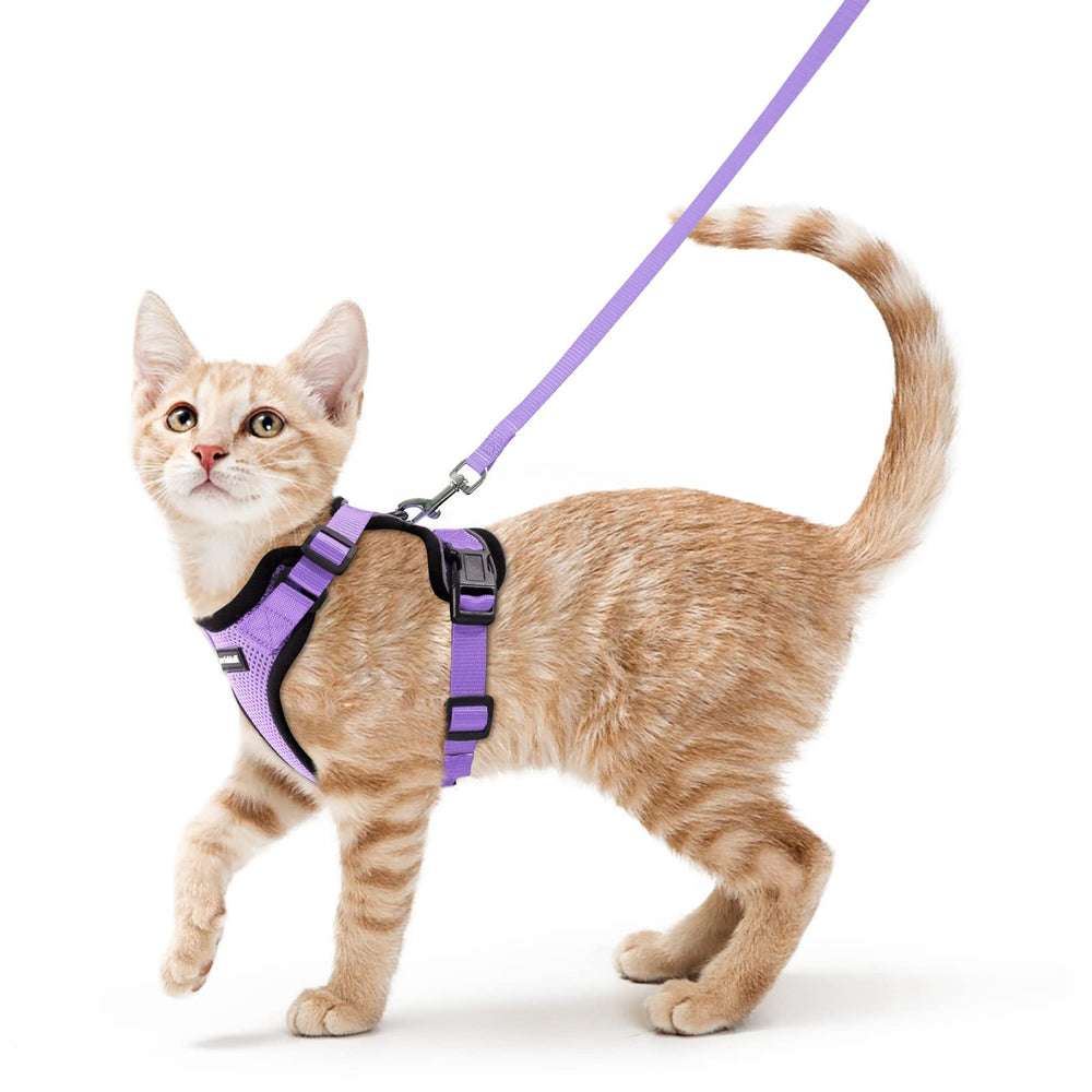 Rabbitgoo cat harness with soft air-mesh for breathable comfort during walks