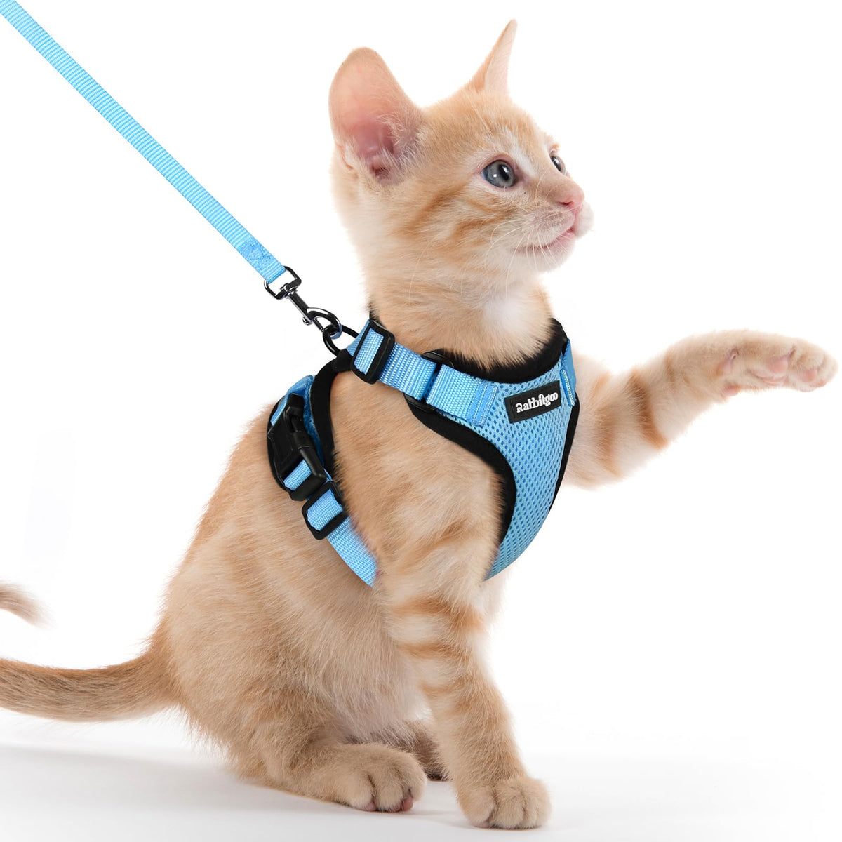 Rabbitgoo cat harness made with soft air mesh for breathable comfort on walks.