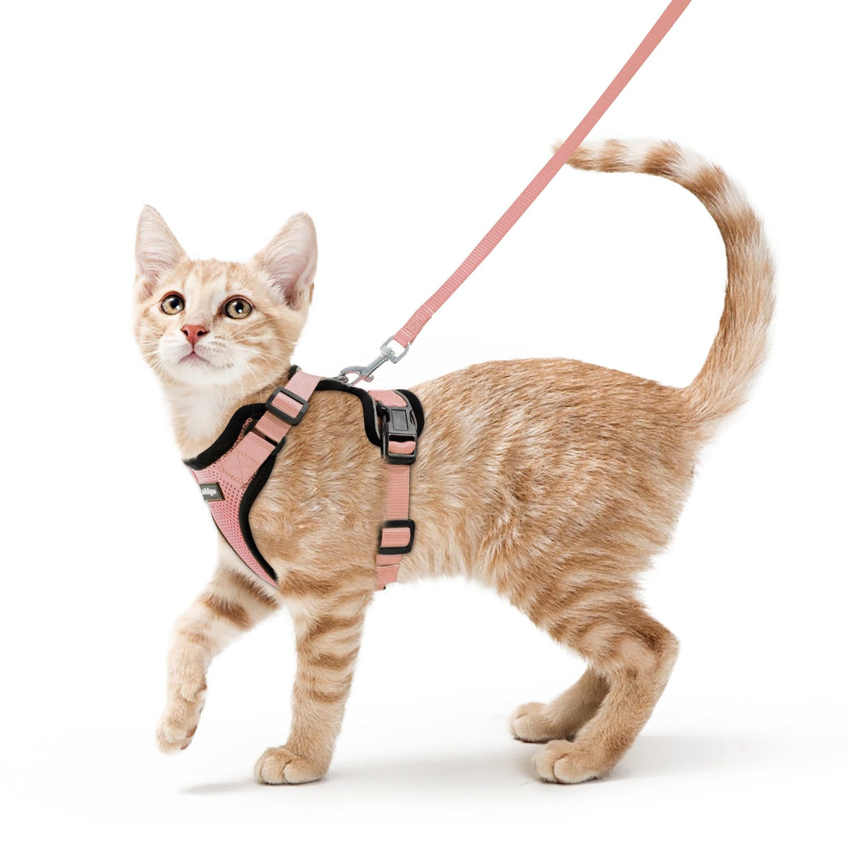 Rabbitgoo cat harness with soft air mesh for breathable comfort during outdoor strolls.