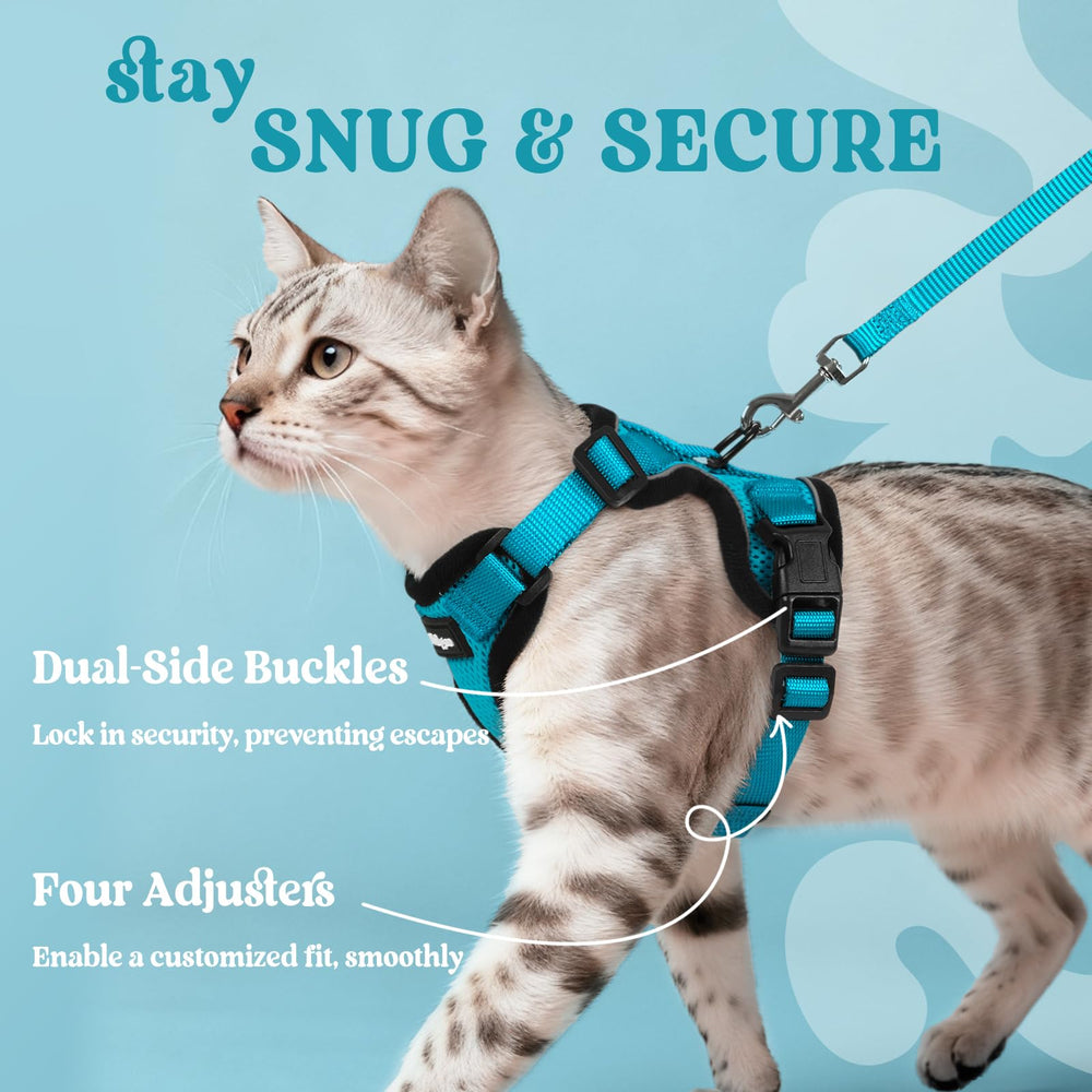 Rabbitgoo breathable air-mesh harness keeps cats cool on sunny days.