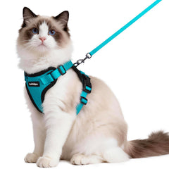 Rabbitgoo cat harness front view shows a secure, escape-proof fit for curious felines.