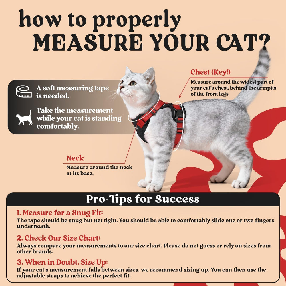 Rabbitgoo harness vest design with air mesh keeps cats cool on walks.