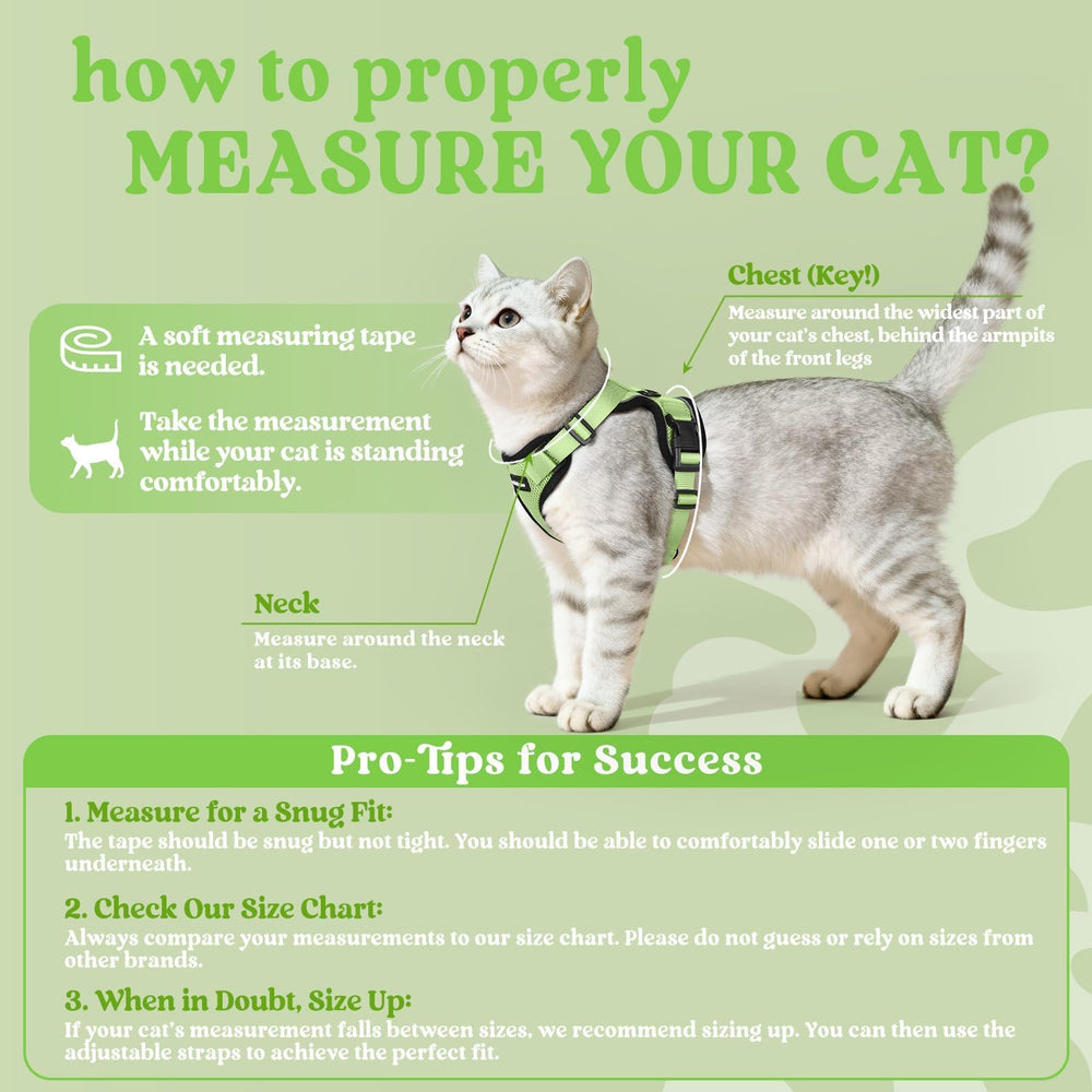 Rabbitgoo harness vest design with airmesh keeps your cat cool during strolls.