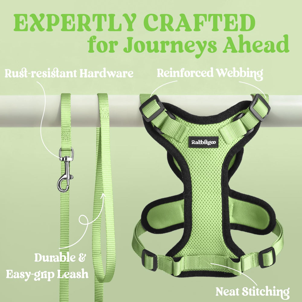 Rabbitgoo vest-design cat harness offering indoor and outdoor comfort