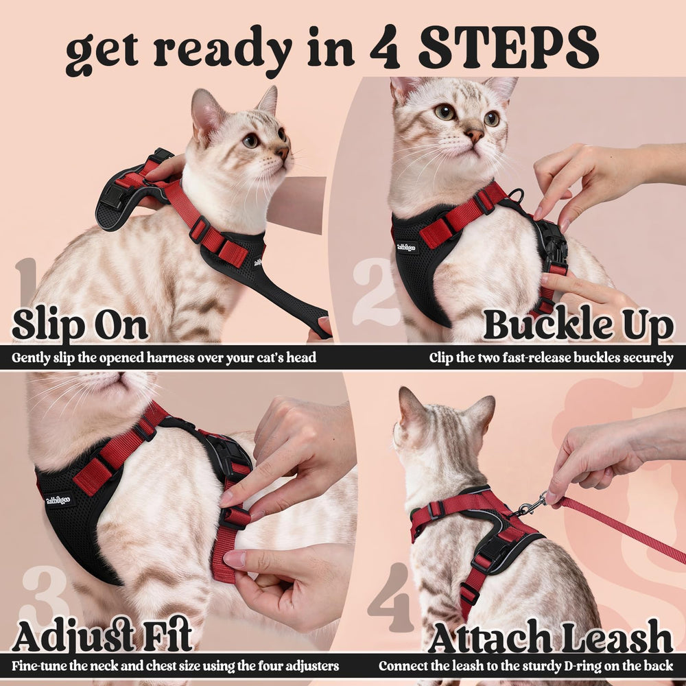 Rabbitgoo vest-style harness redistributes leash pressure away from the neck.