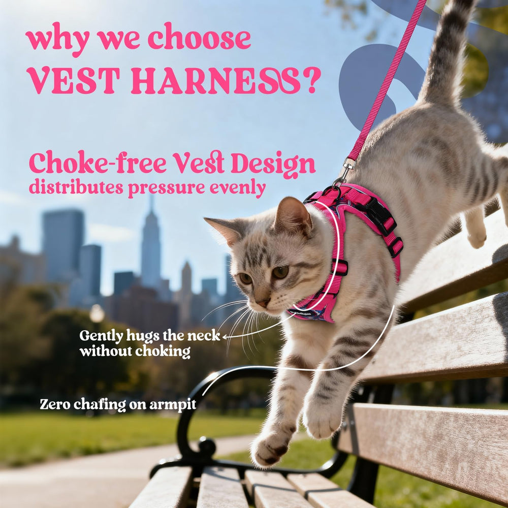 Vest-style Rabbitgoo harness redirects leash pressure away from the throat for comfort.