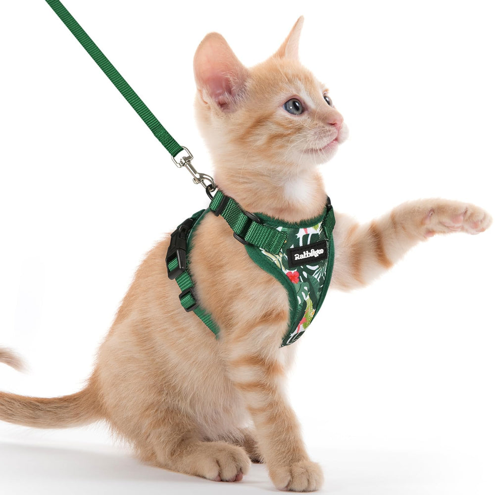 Rabbitgoo rainforest green cat harness vest for outdoor walks, breathable and secure